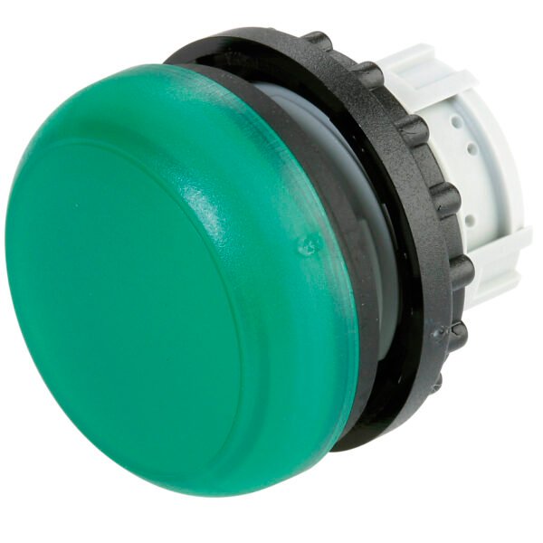 Pilot Light Flush Green