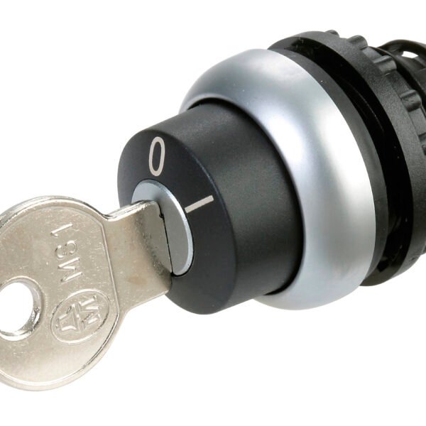 Selector Switch 2 Position Stay Put Key Operated