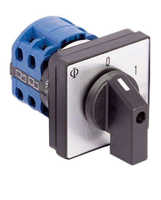 Cam Switch FT2 type 2Pole 20A Man/Off/Auto Pan Mnt