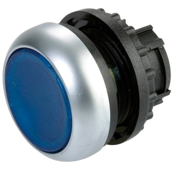 Pushbutton Illuminated Stay Put Blue