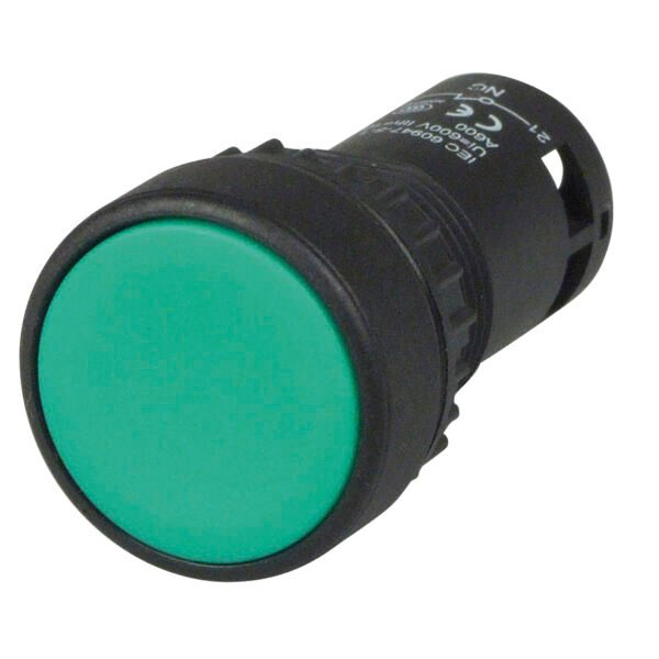 Pushbutton Monobloc Flush Green 1 N/O 1 N/C